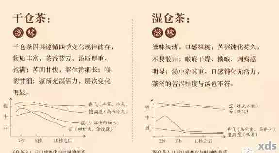 全面解析普洱茶干仓湿仓：如何识别与对比？了解两者差异与特点