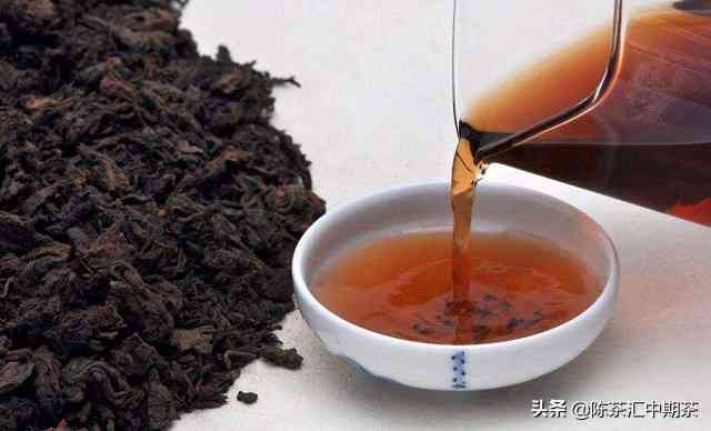 《普洱茶》茶叶品种与产地的关系及品饮技巧