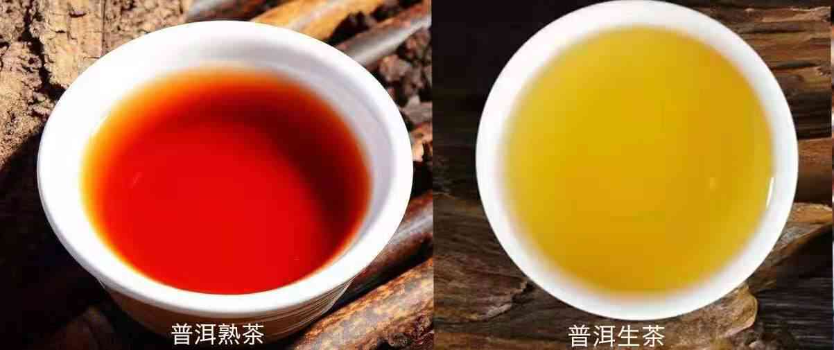 全面解析：半生半熟茶的种类、特点与品饮方法