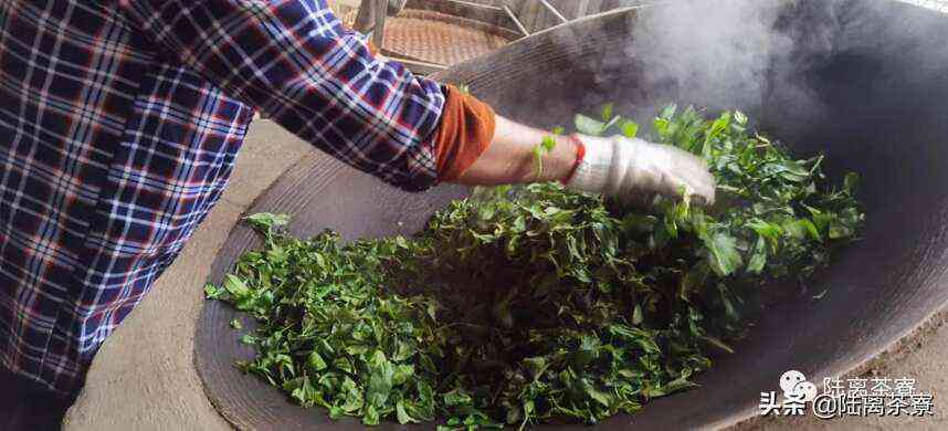 普洱茶制作新方法：如何利用枇杷叶制作出独特的普洱茶风味？