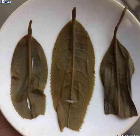 普洱茶制作新方法：如何利用枇杷叶制作出独特的普洱茶风味？