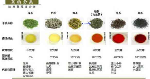 翰墨茶叶：品质、种类、泡法与品鉴全方位解析