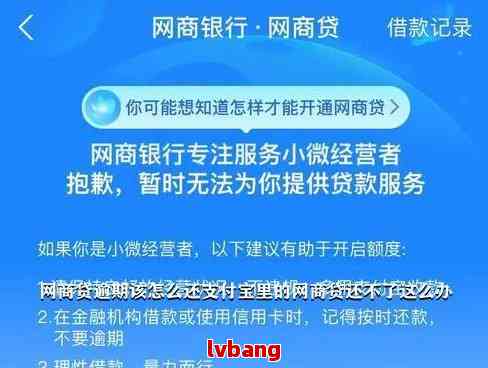 网商贷逾期期最新政策2024