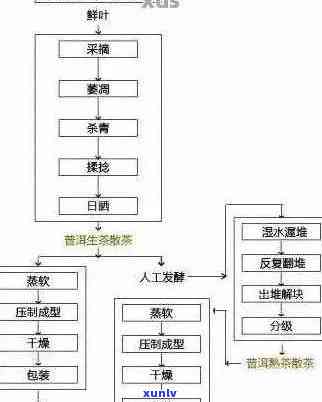 新自制普洱茶发酵的可行性及其影响因素分析