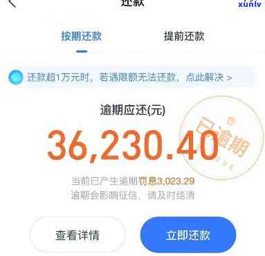 借呗逾期50元第二天还款可以吗？怎么还？安全吗？