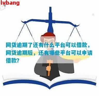 信用卡逾期后，哪些网贷平台能提供紧急贷款服务？