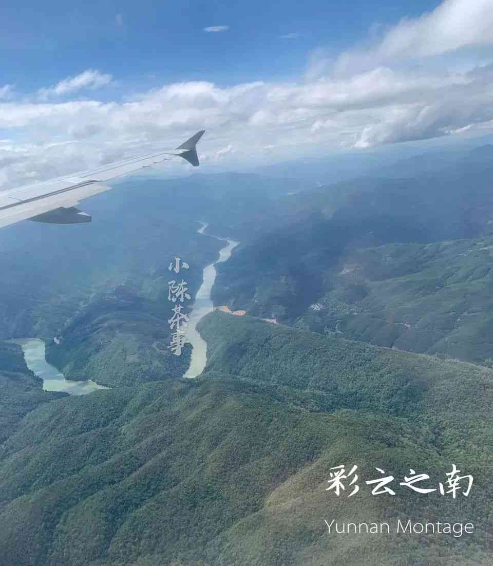 普洱茶岩韵产地与特点：探究云南茶叶的魅力