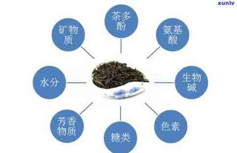 普洱茶中的茶多酚：全面解析其对人体健的多种益处及作用机制