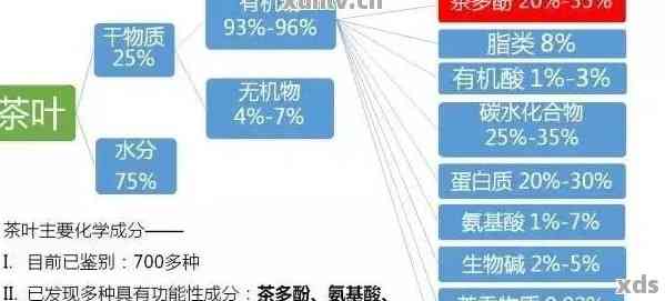 普洱茶中的茶多酚：全面解析其对人体健的多种益处及作用机制