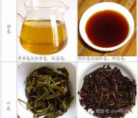 普洱茶变绿茶的原理和作用