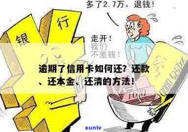 新信用卡逾期还款策略：仅还本金是否可行？如何避免高额利息？