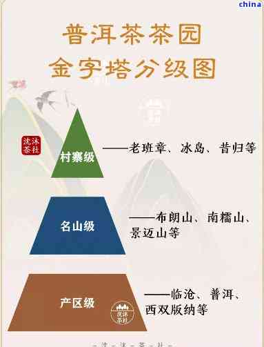 全面解析普洱茶别：从产地、工艺到口感的全方位指南