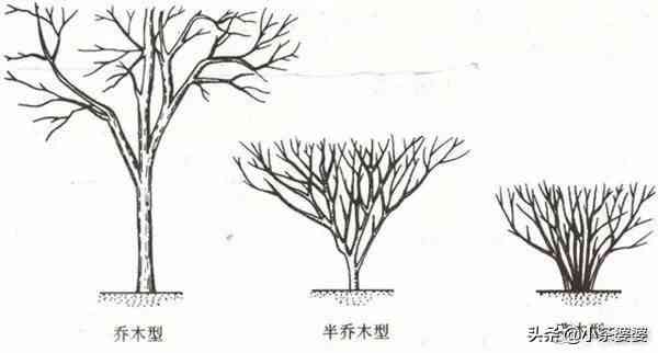 普洱茶直接饮用推荐：哪些值得尝试？