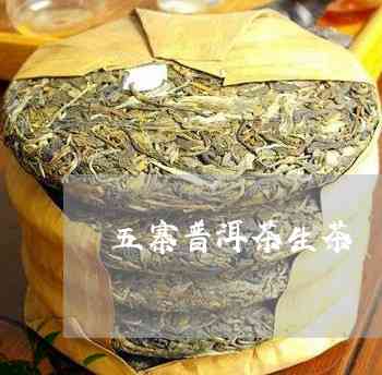 普洱茶五寨