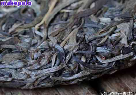 普洱茶虫：原因、种类和解决方法