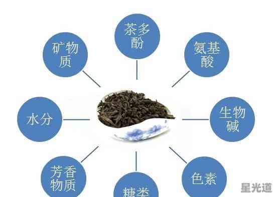 普洱茶对心血管健的益处和潜在风险：一篇全面分析