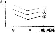 全面解析：玉绳子的常见尺寸范围以及如何选择合适的长度