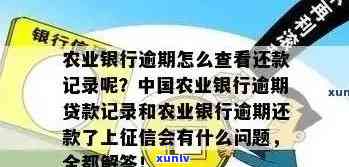 农行信用卡逾期天数查询方法全面解析：如何查看、影响及解决办法一文搞定