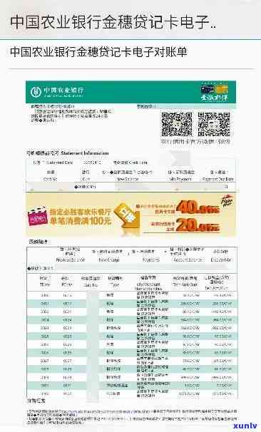 怎么查农行信用卡有没有逾期还款记录，欠款金额是多少？