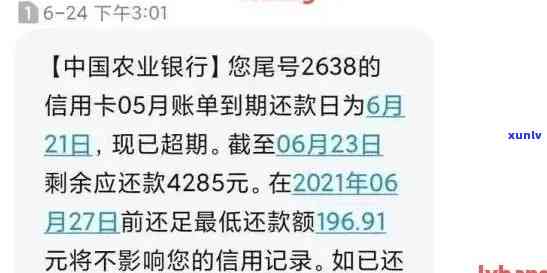 怎么查农行信用卡有没有逾期还款记录，欠款金额是多少？