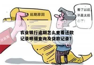 怎么查农行信用卡有没有逾期还款记录，欠款金额是多少？