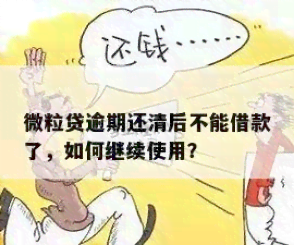 微粒贷贷款未结清，能否继续申请银行贷款？