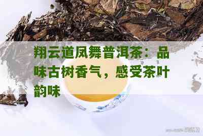 凤栖普洱茶，凤逸亦凰，品茗共享茶韵情