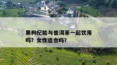 5分读懂普洱茶山：特色口感与旅游攻略