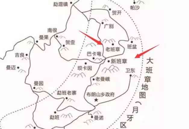 5分读懂普洱茶山：特色口感与旅游攻略