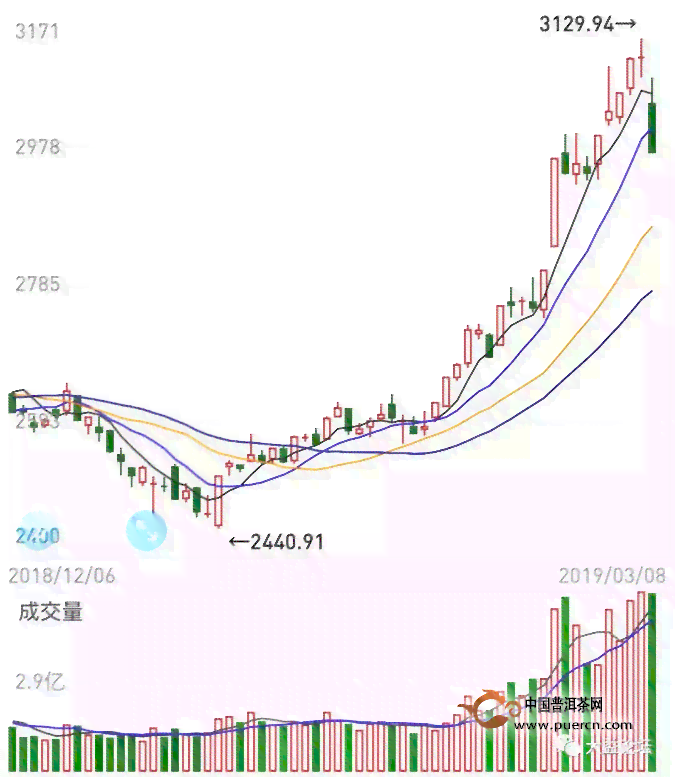 2023大益普洱茶生茶价格：最新报价与市场趋势分析