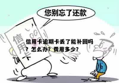 信用卡逾期换卡怎么办：逾期还款、丢失补办全攻略