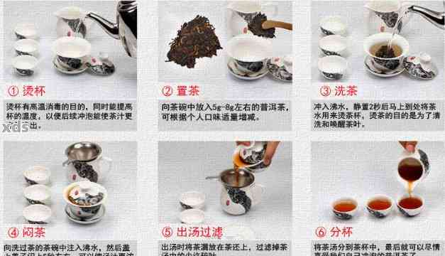 普洱茶冲泡教程：步骤与方法详解