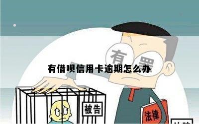 信用卡借呗逾期怎么办