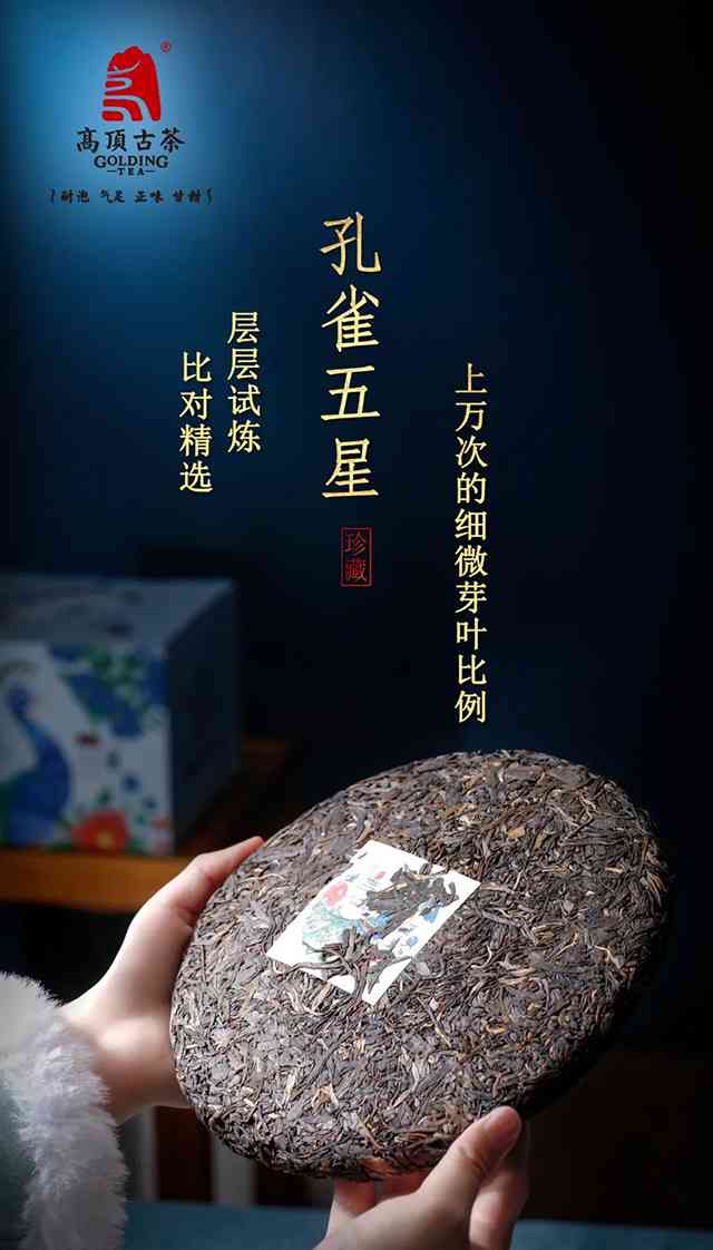 五星普洱茶