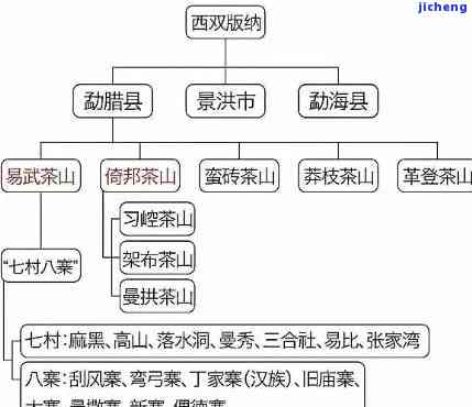 探究普洱茶的独特产地特性及其魅力所在