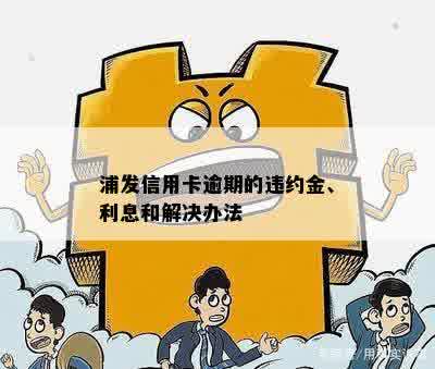 浦发信用卡逾期怎么还