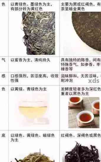 傈所普洱茶：特点、功效、作用与价格一览，了解普洱茶的全貌。