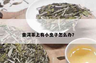 探究普洱茶膏无味的原因及如何品尝其特殊风味