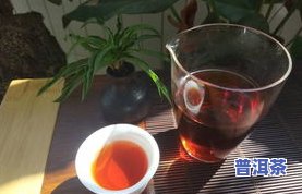 普洱茶膏为什么挂白霜：揭示普洱茶膏表面白霜原因，以及判断其正常性。