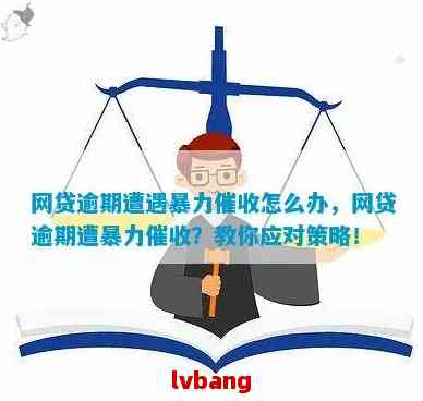 网贷逾期多年仍未解决？全面解决方案和应对策略在这里！