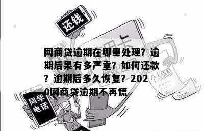 信用卡逾期网商贷没了会怎么样：逾期后的后果和处理建议