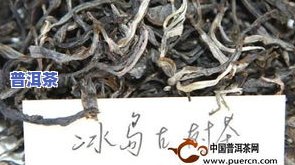 小哥推荐的冰岛普洱茶真假难辨？揭秘购买陷阱与正品鉴别方法！