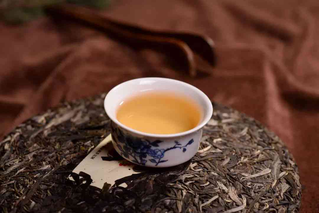 普洱茶的制作原料：使用哪些种类的茶树叶？