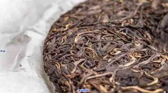 贡品普洱茶饼价格及种类介绍：熟茶还是生茶？7262