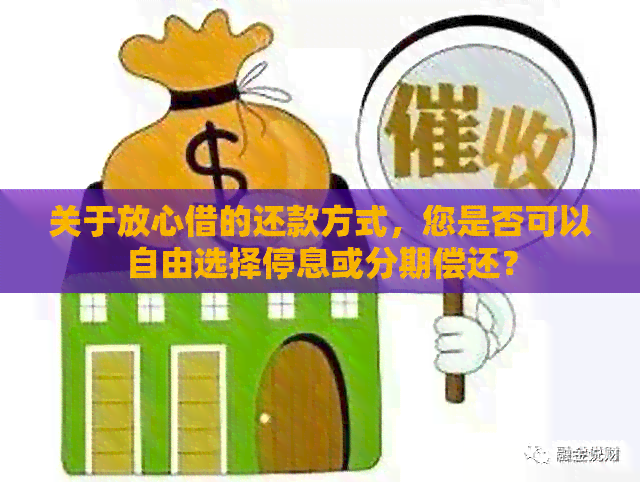 了解放心借：是否可分期还款？如何操作？解答您所有的疑问！