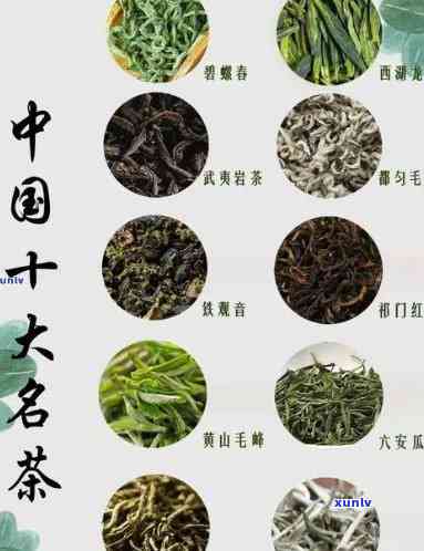 山名茶种类与价格一览，山茶叶特色店地址推荐，品尝山特产茶之旅