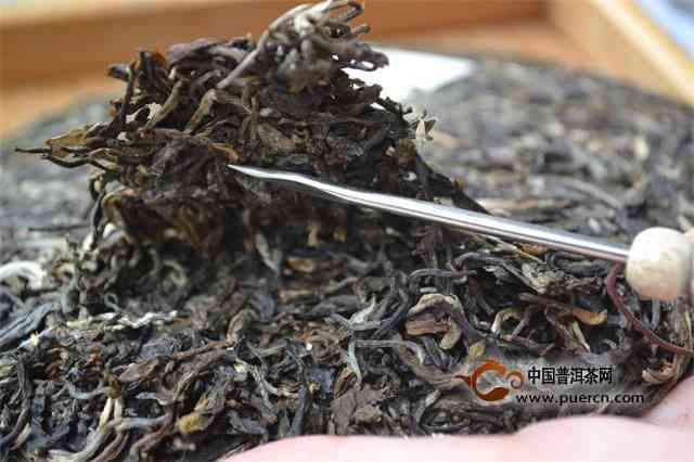 新【磐石古树茶】顶级普洱茶的价格分析，每克多少钱？收藏投资必看！