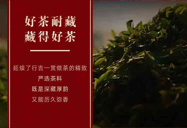 赞美普洱茶的标语大全：经典普洱茶语录，喝出生活新味道！