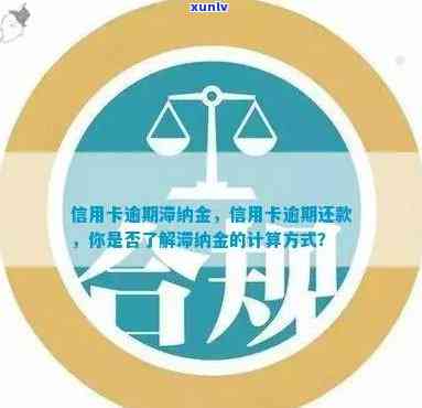 逾期信用卡还款银行注意事项大全：如何避免罚息、滞纳金以及信用损失