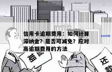 逾期信用卡还款银行注意事项大全：如何避免罚息、滞纳金以及信用损失